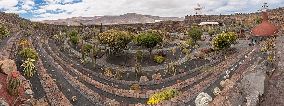 Jardín de Cactus-pjt